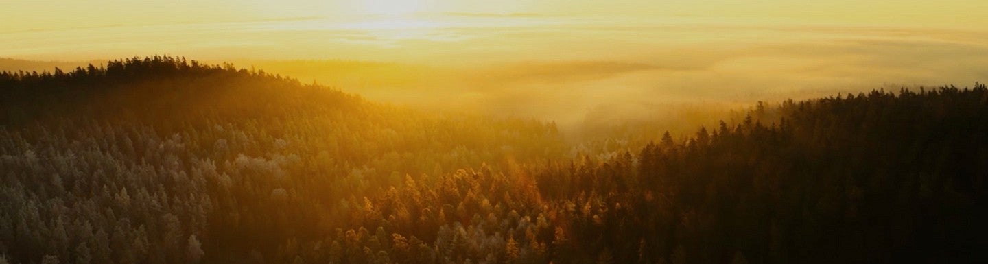 sunset over tree-covered hills