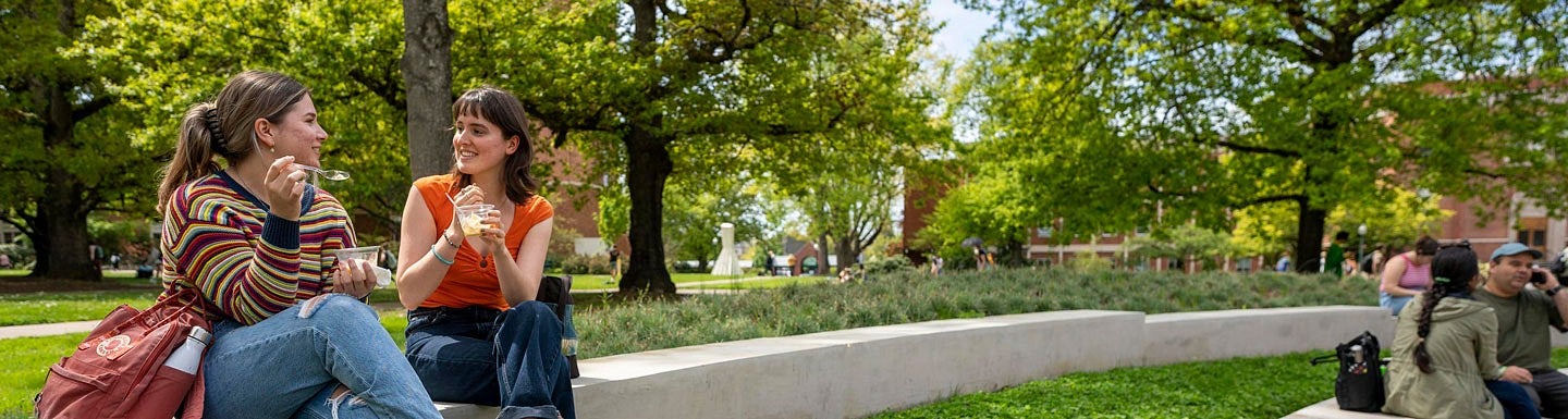 people sitting and talking outside on a sunny day