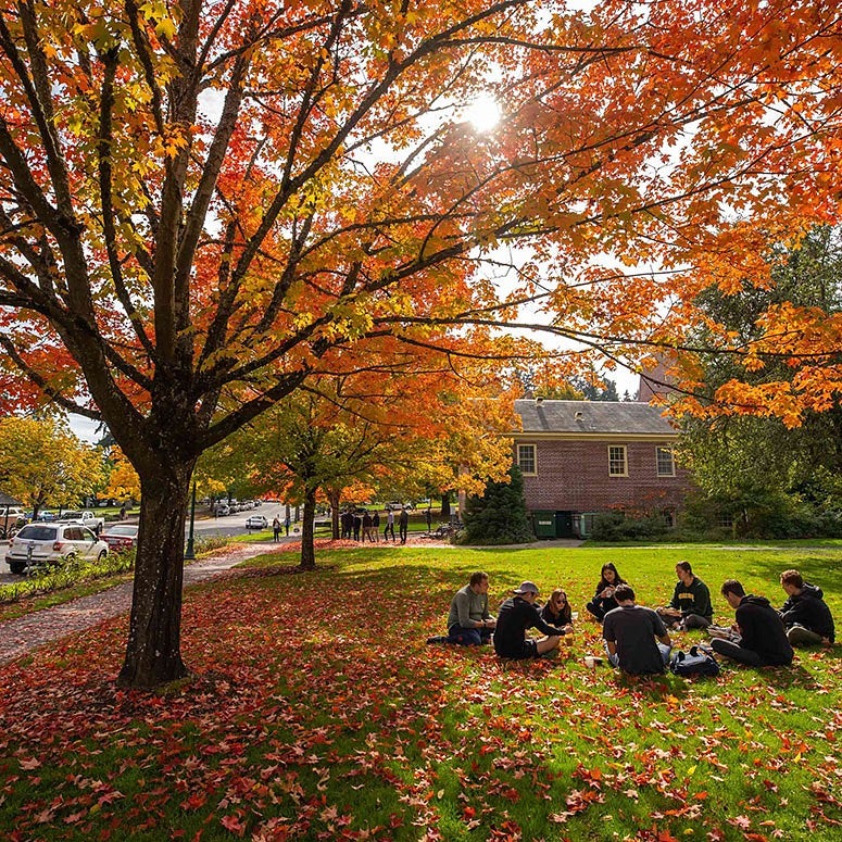 students sit under a tree with fall foliage